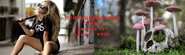 спайс Богданович