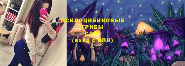 стаф Бородино