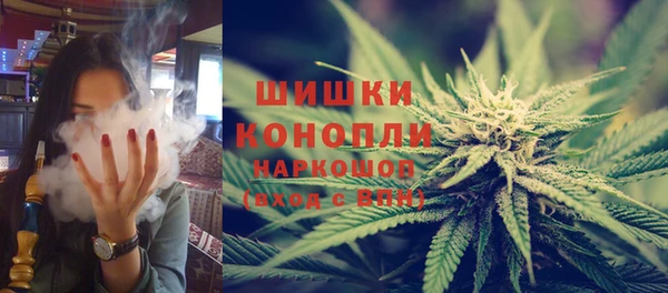 спайс Богданович